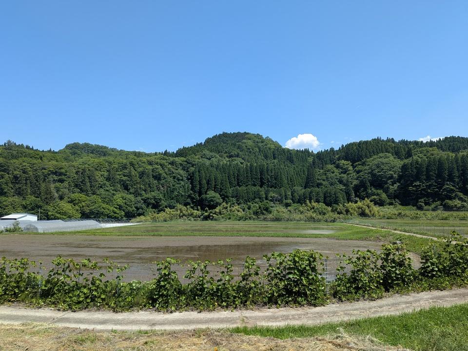 津賀牟礼城
