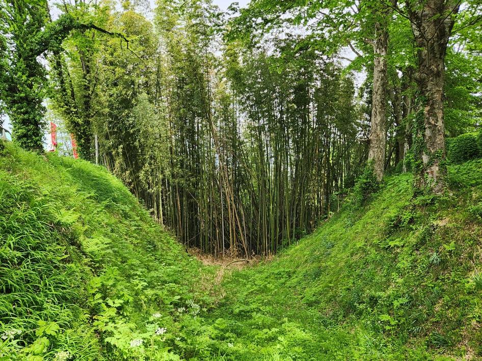 小川城