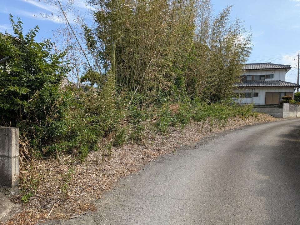 金窪城