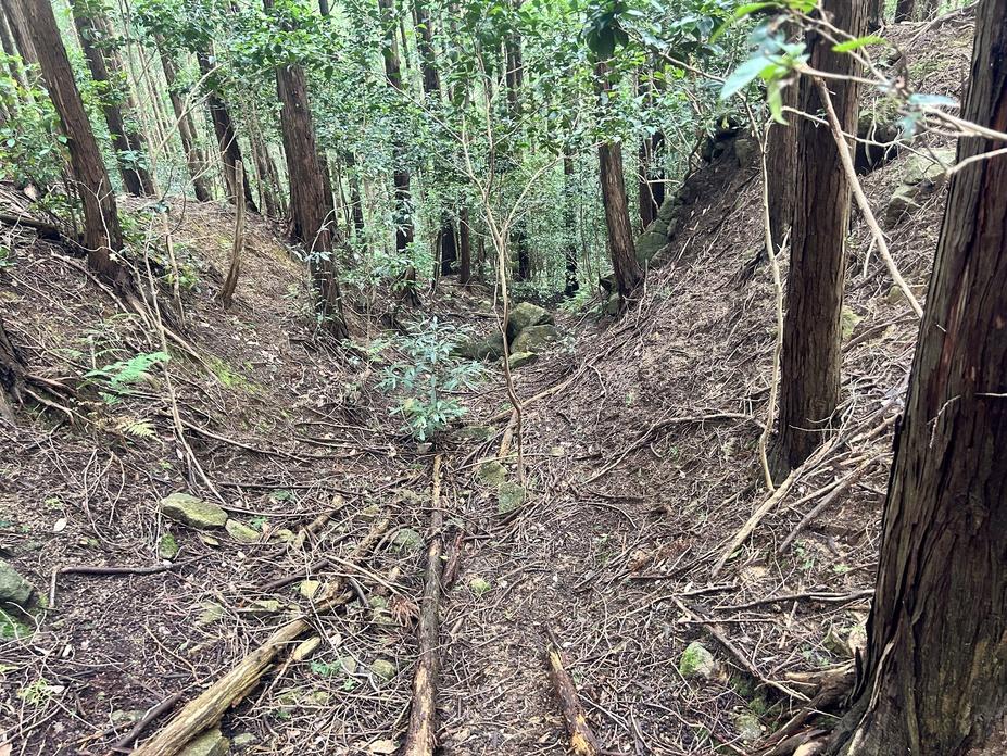 滝之川城