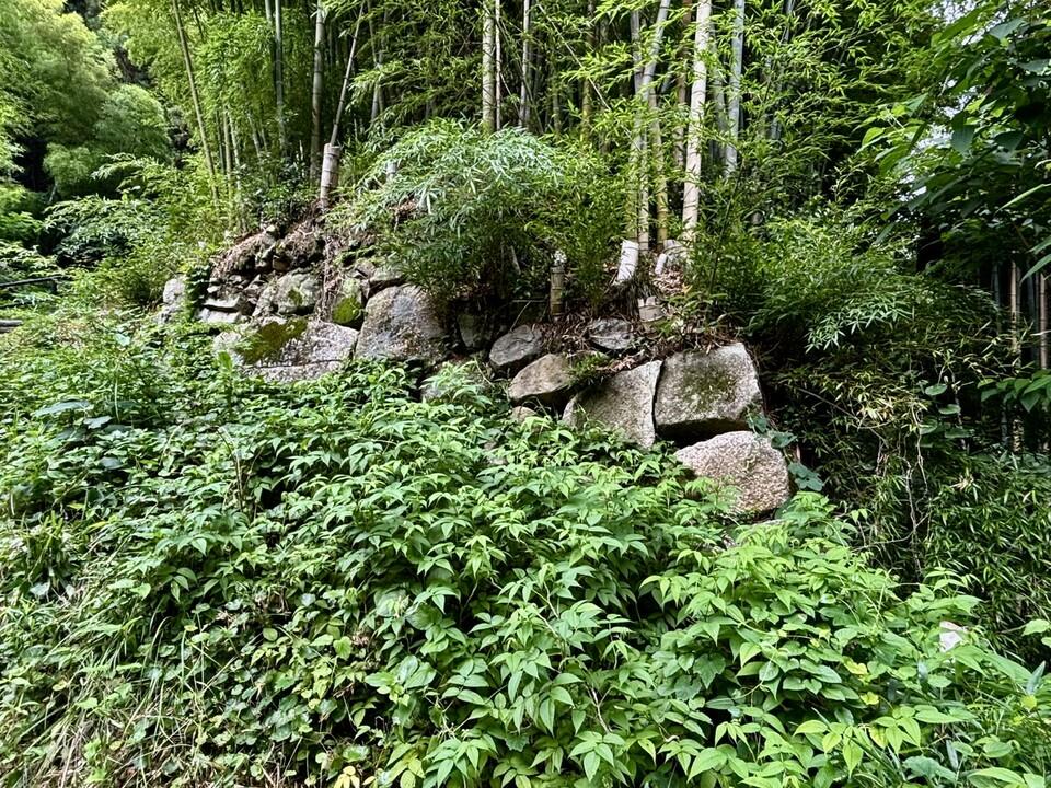 八幡山城