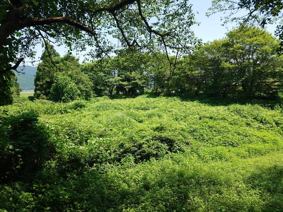 小丸城