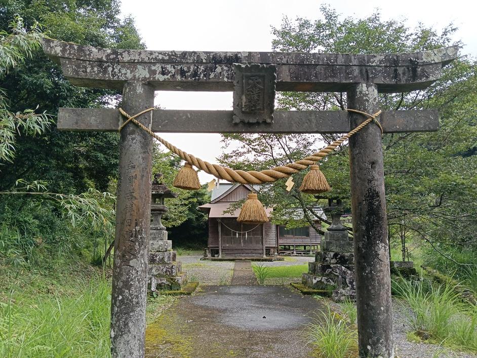 用来城