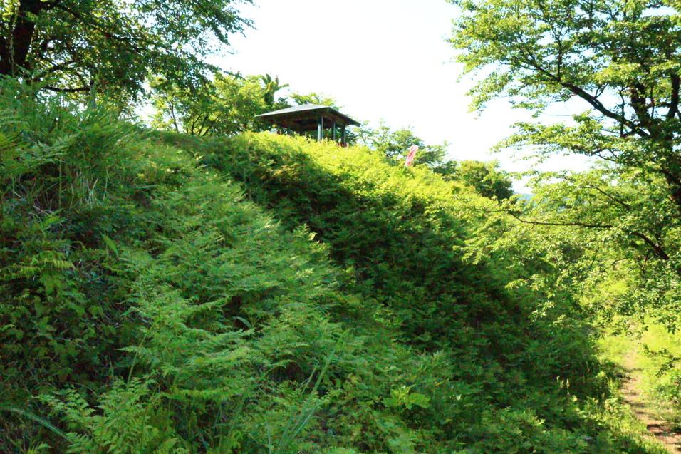 鮫ヶ尾城
