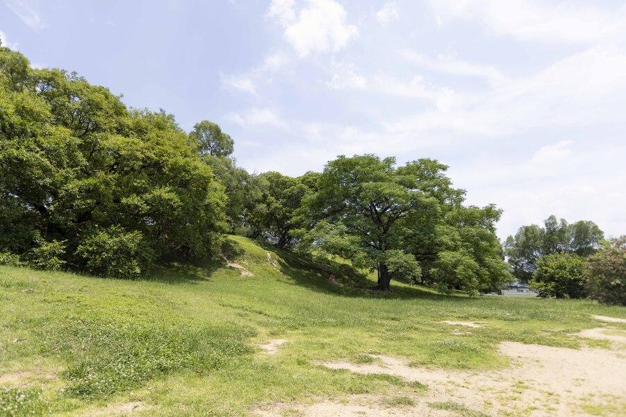 小山城