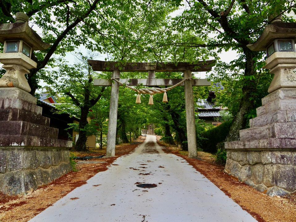 堤本地城