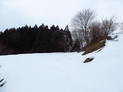 毒沢城