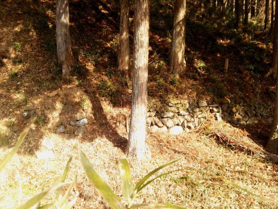 蓬山城