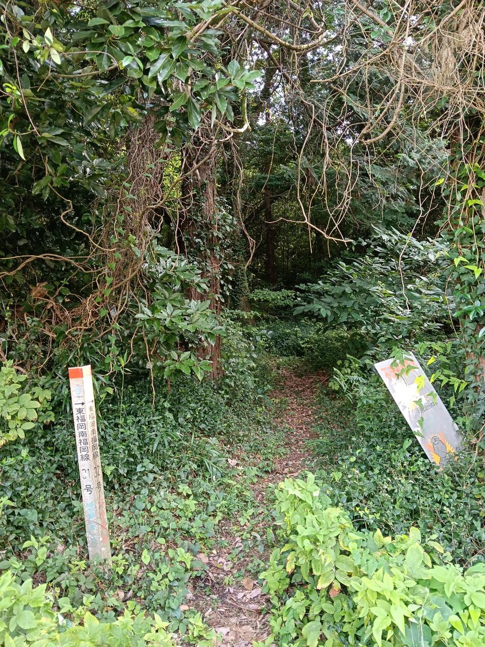 稲居塚城