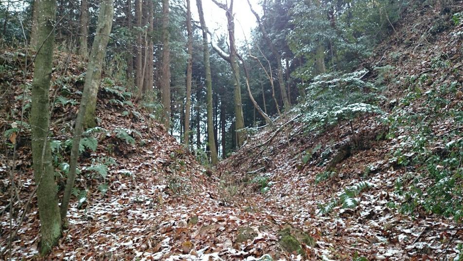 龍王山城