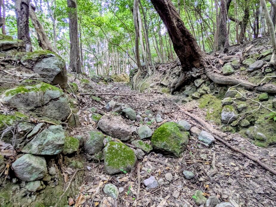 吉広城