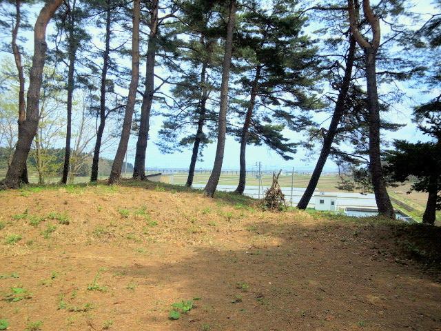 油川城