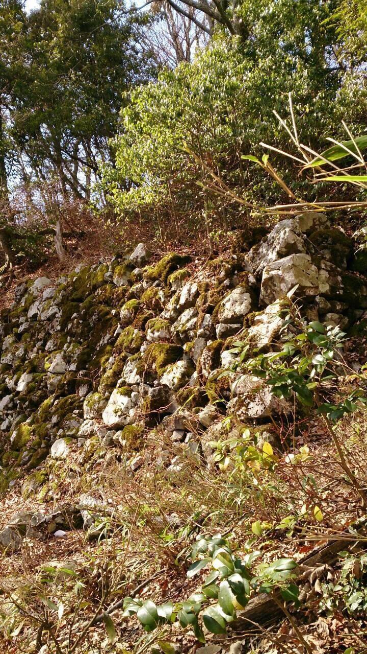 小谷城