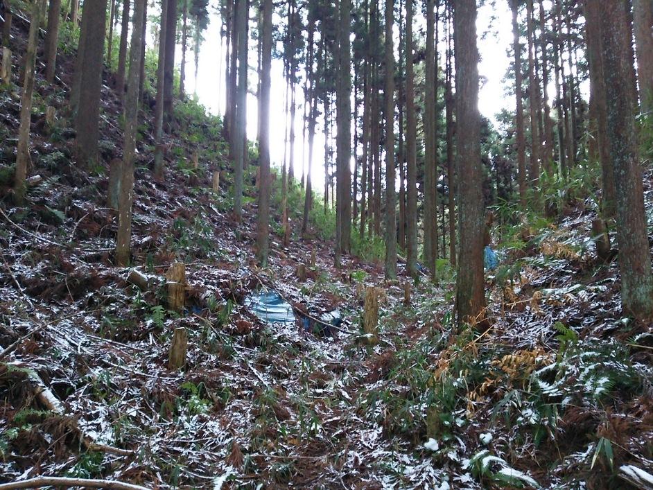 宇陀松山城