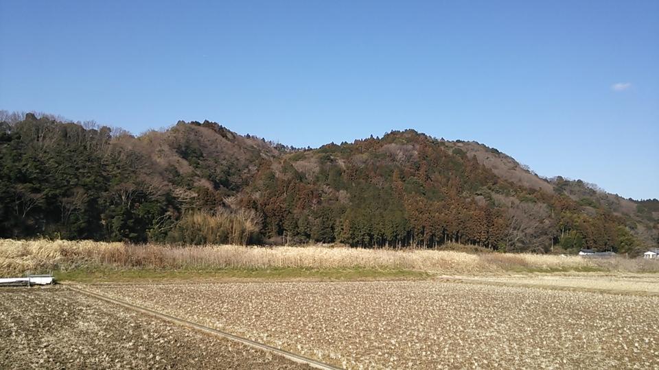 山入城