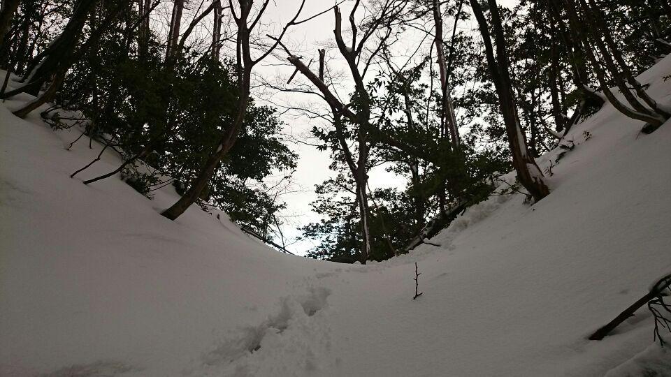 新保山城