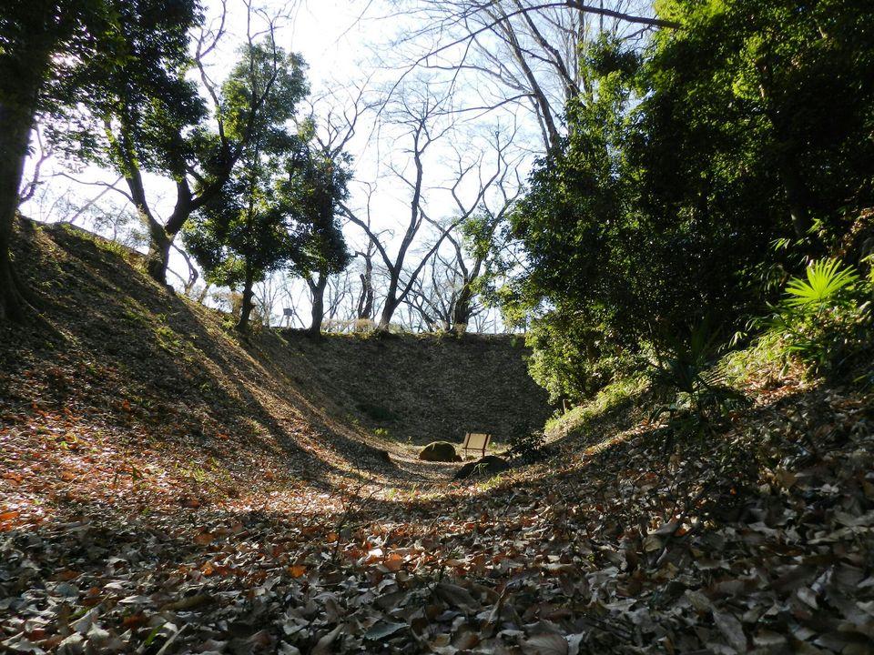 雉岡城
