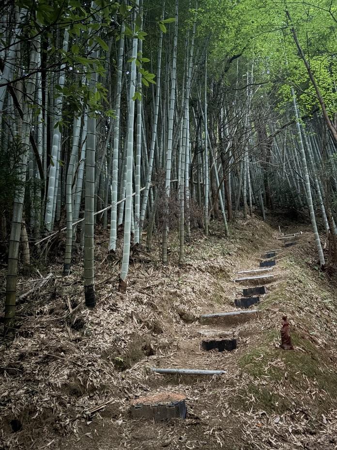 敷山城