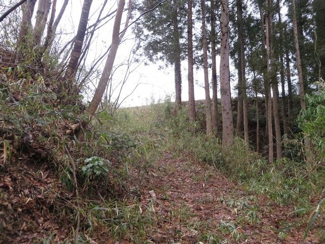根添城