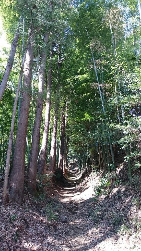 勝沼城