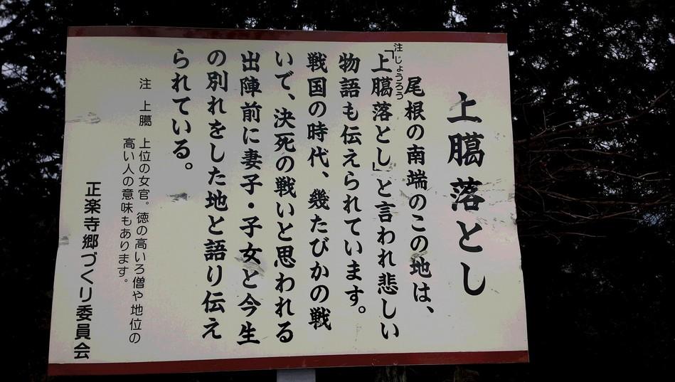 勝楽寺城