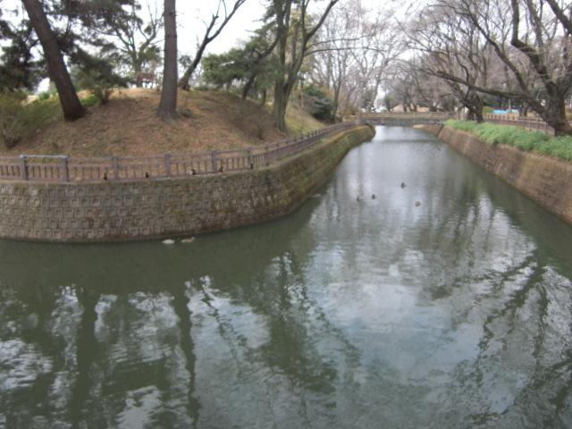 小泉城