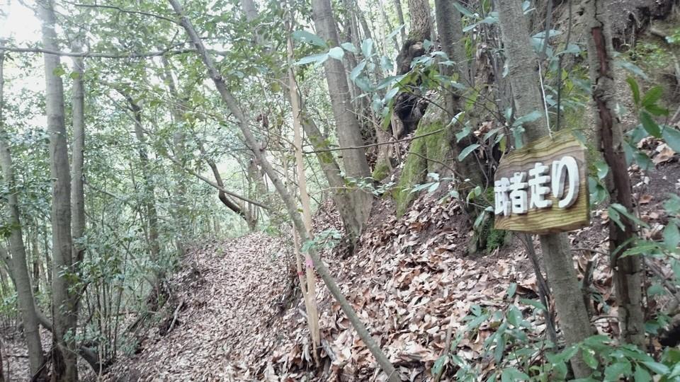 水晶城