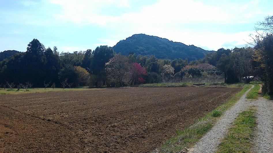 岩門城