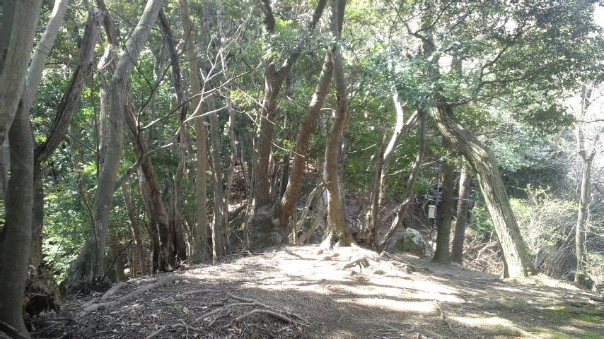 安良里城
