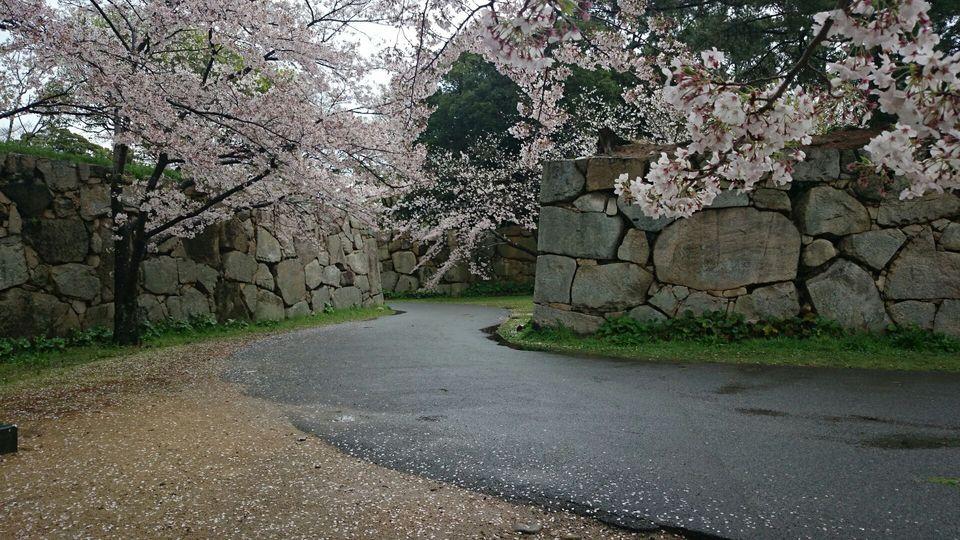 萩城