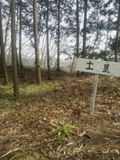 紫城
