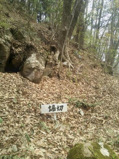 紫城