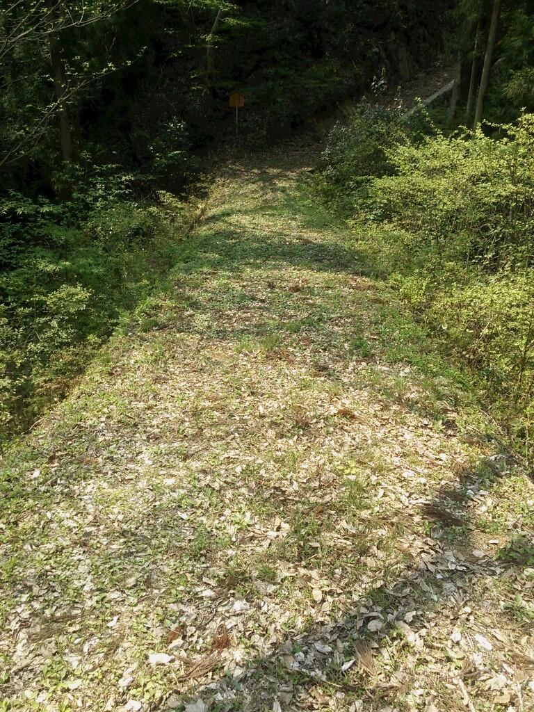 楪城