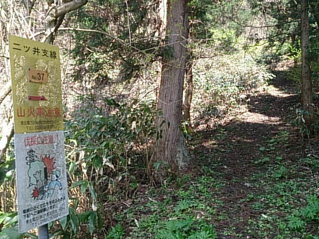 館平城