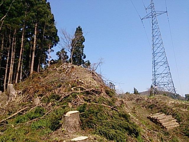 館平城
