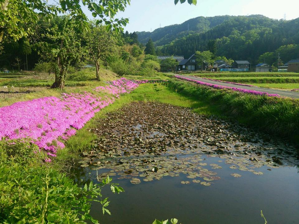 杣山城