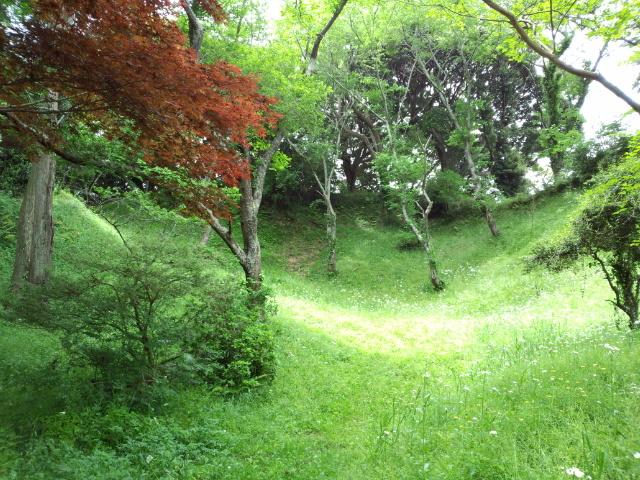 阿波崎城