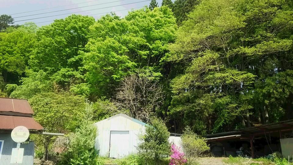 高助館