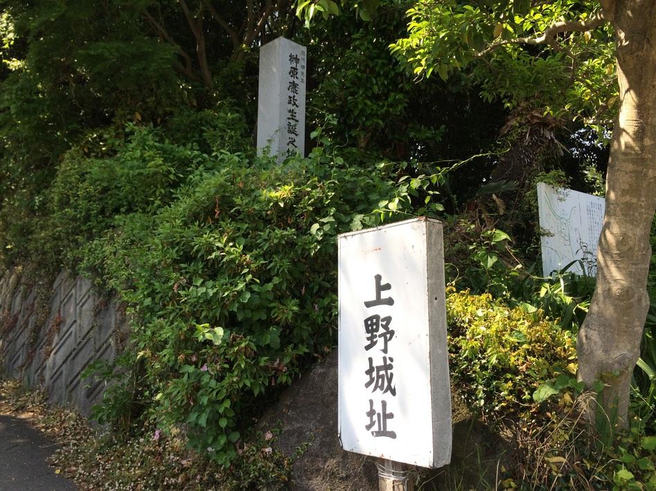 上野上村城