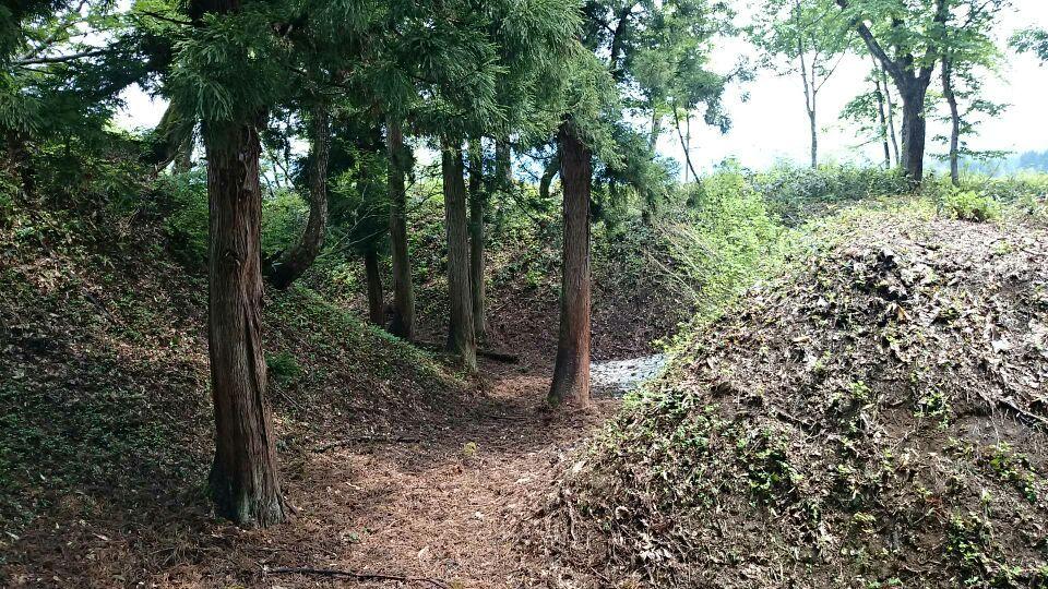 今井城