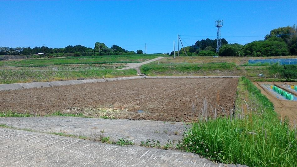 尾和谷城