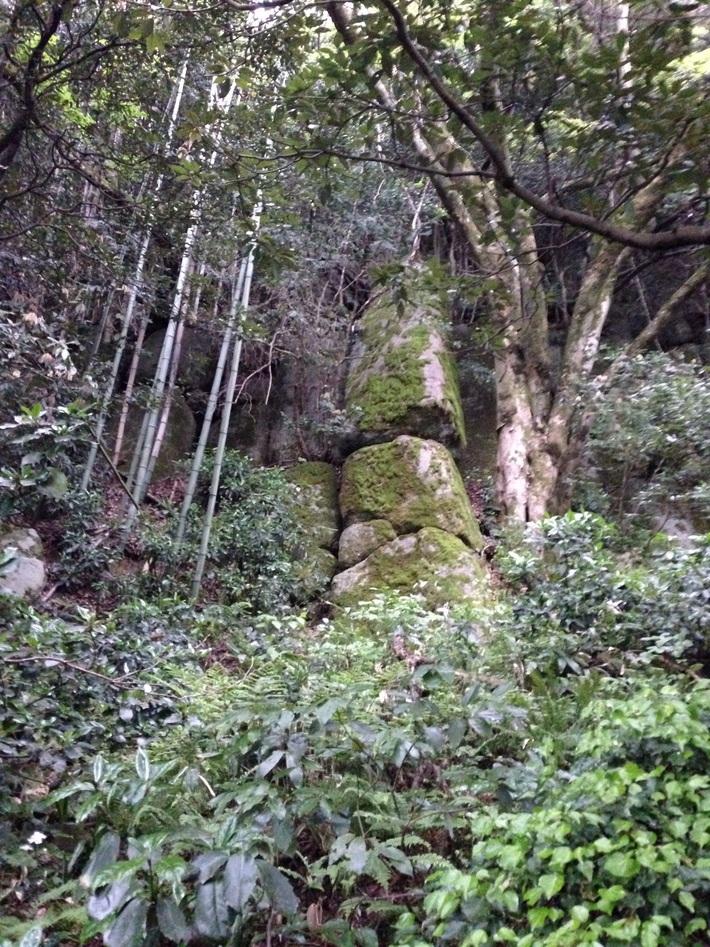 羽衣石城