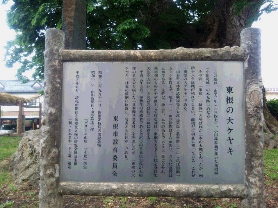 東根城