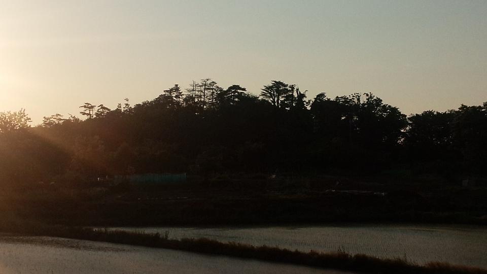柿崎城