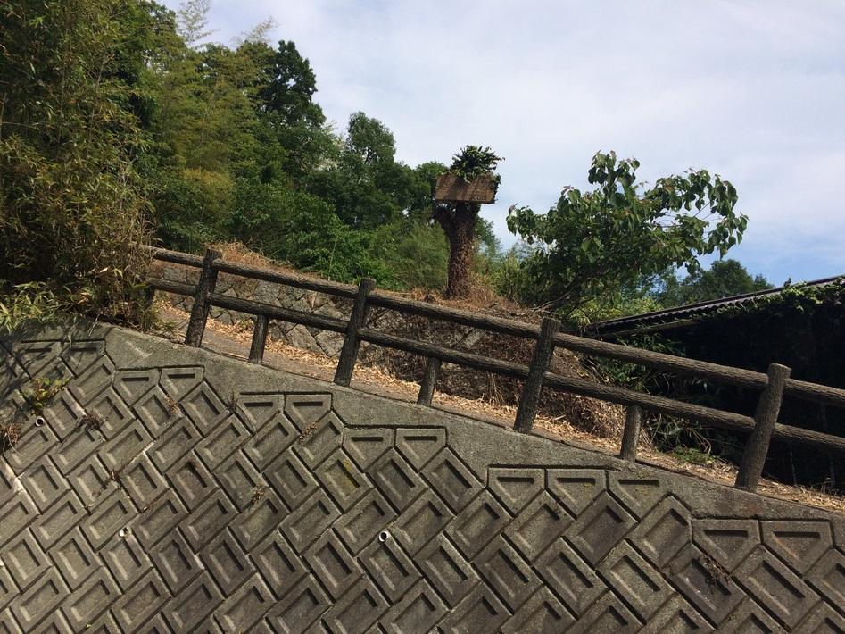 鳴滝山城