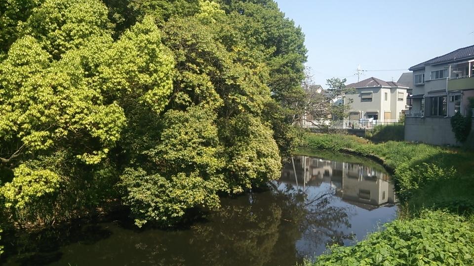 高屋城