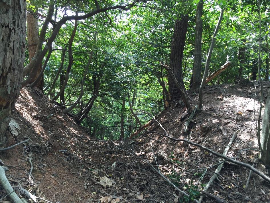 新保山城