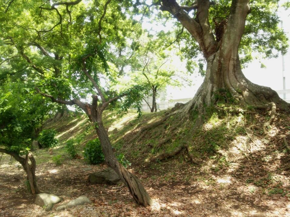 府中城