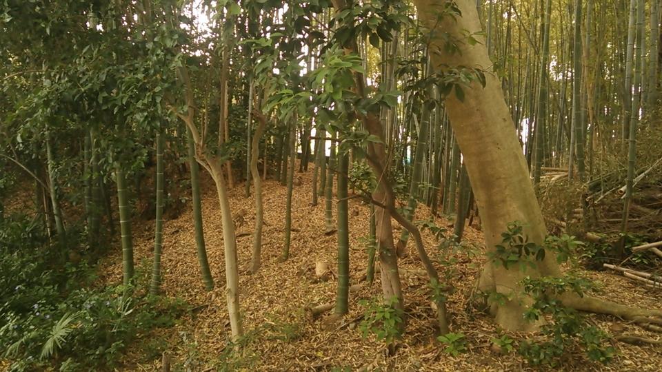 陶器城