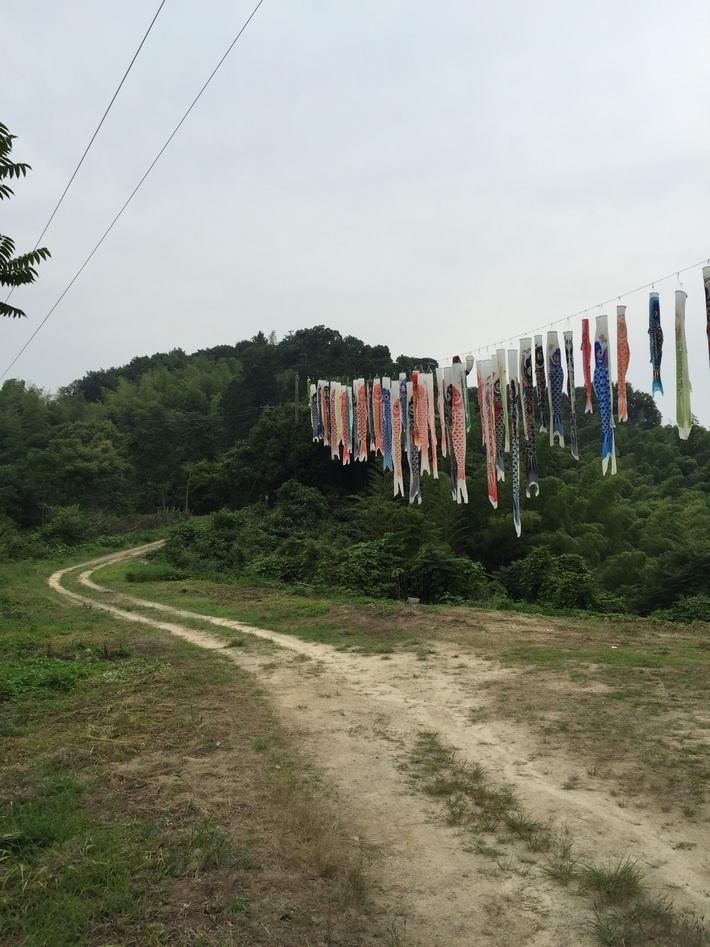 藤目城